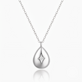 Load image into Gallery viewer, (Silver Plated)
