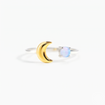 Load image into Gallery viewer, (18K Gold Plated & Silver Plated)
