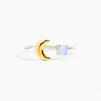 18K Gold Plated & Silver Plated