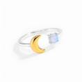 Load image into Gallery viewer, (18K Gold Plated & Silver Plated)
