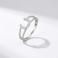 Load image into Gallery viewer, (Silver — Rhodium Plated)
