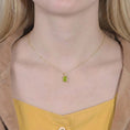 Load image into Gallery viewer, (18K Gold Plated Necklace)
